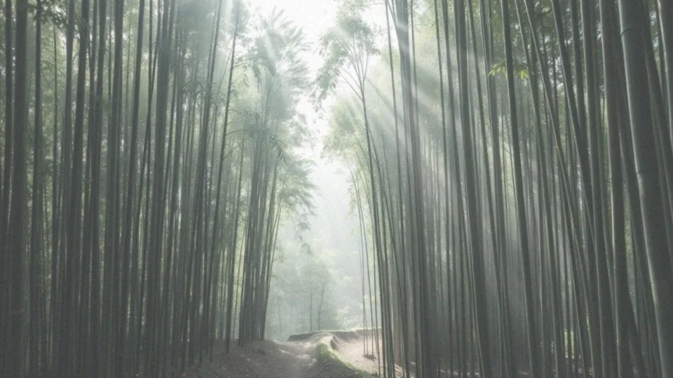 Jakie znaczenie ma Rezerwat Pandy Wielkiej w Syczuanie?