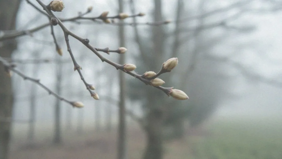 Jakie są główne alergeny w marcu?