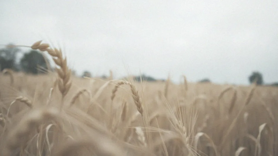 Długość życia z czerniakiem – co warto wiedzieć o rokowaniach?