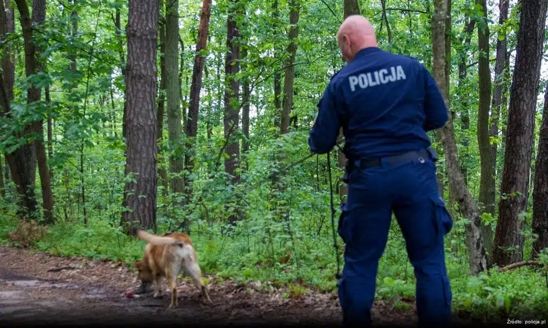 Nowe regulacje dotyczące naboru do Policji