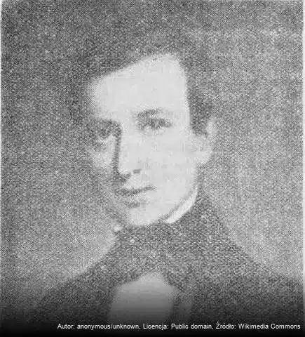 Pedro Luiz Napoleão Chernoviz